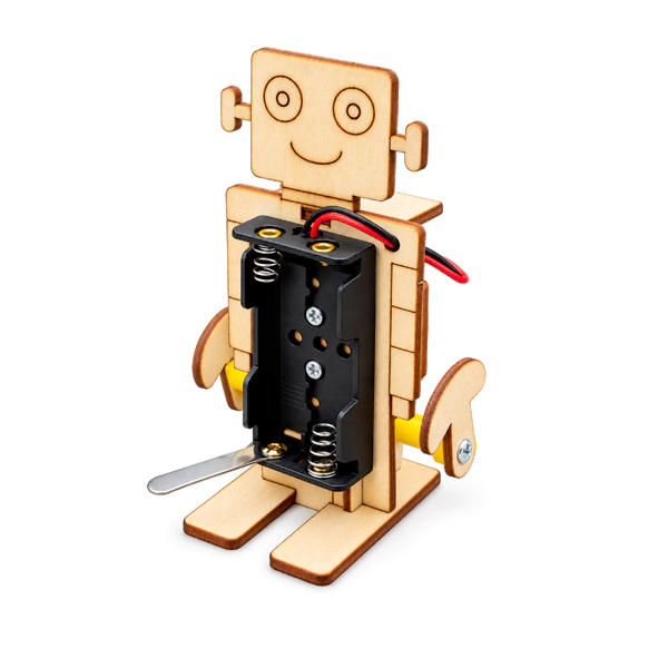 Walk This Way! DIY Walking Robot